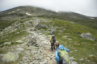 Yes, that’s what the trail looks like.